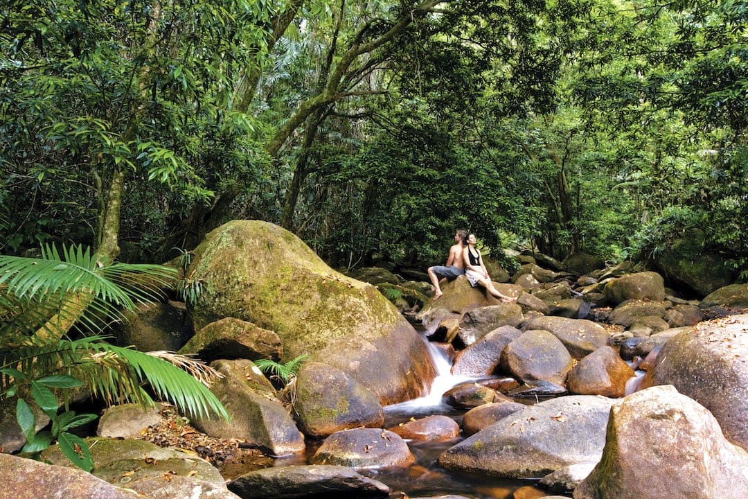 Daintree Rainforest Creek