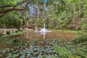 Pond and fountain, surrounded by forest.