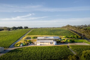 Maxwell Wines in McLaren Vale South Australia