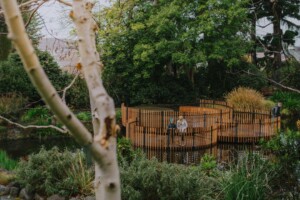 Royal Tasmanian Botanical Gardens - Lily Pads