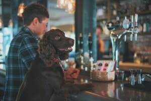 dog-friendly venues in sydney