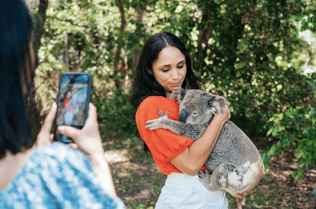 Koala encounter © Tourism and Events Queensland