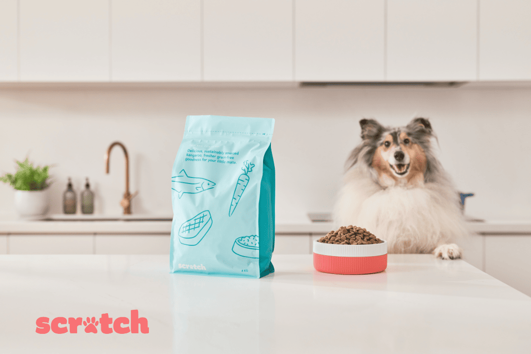 win a year's supply of dog food from scratch