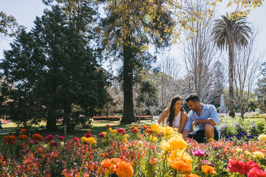 Couple looking at flowers in Queens Park
