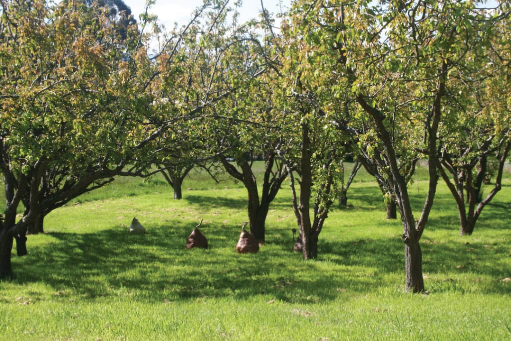 art trails in Tasmania