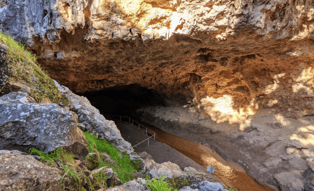 Stockyard Gully Reserve. Photo by Bronwyn Wells.