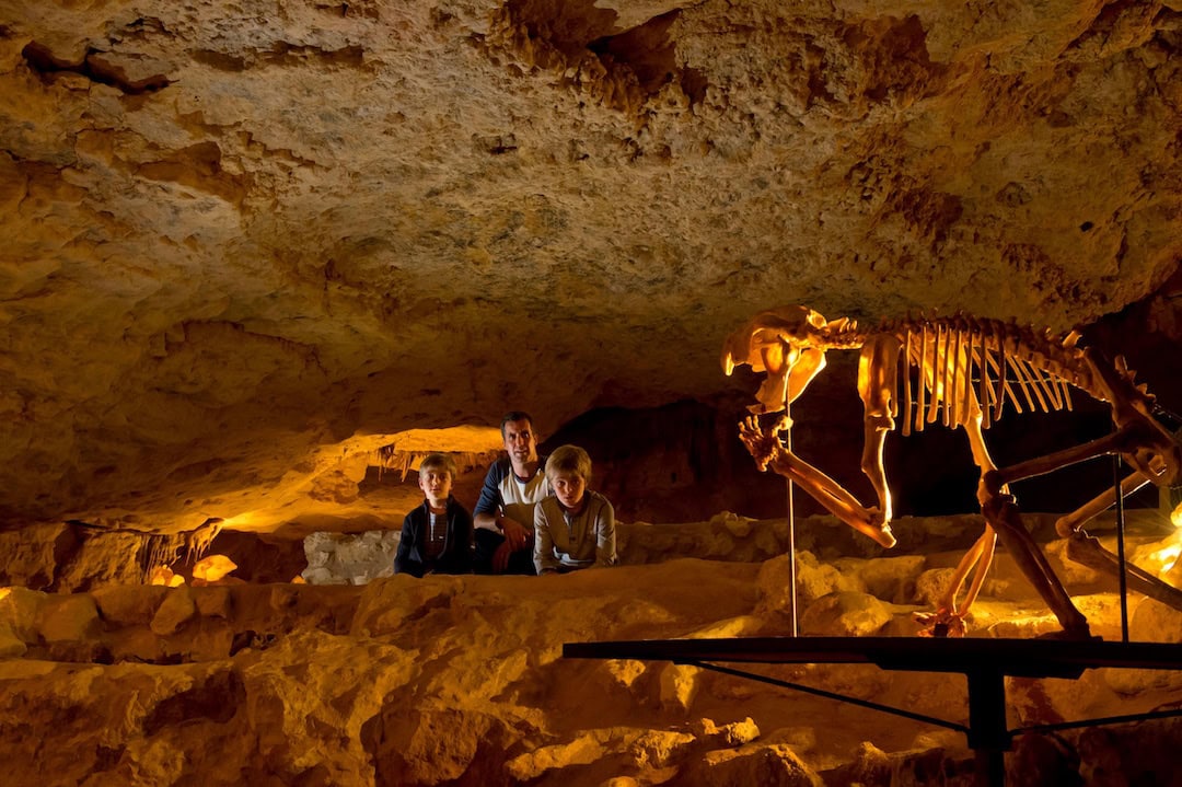 An animal skeleton in Naracoorte Caves National Park. Photo: Adam Bruzzone/South Australian Tourism Commission.