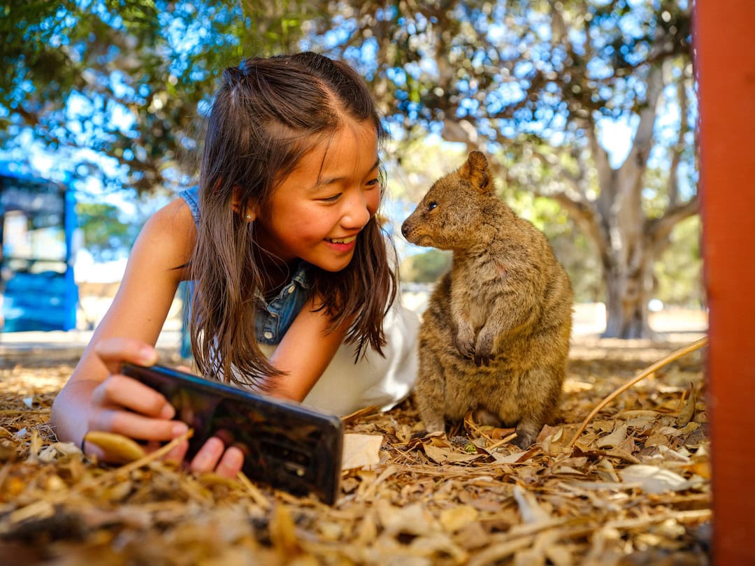 Quokkas are great animals to snap a selfie with! Image: Tourism Western Australia.